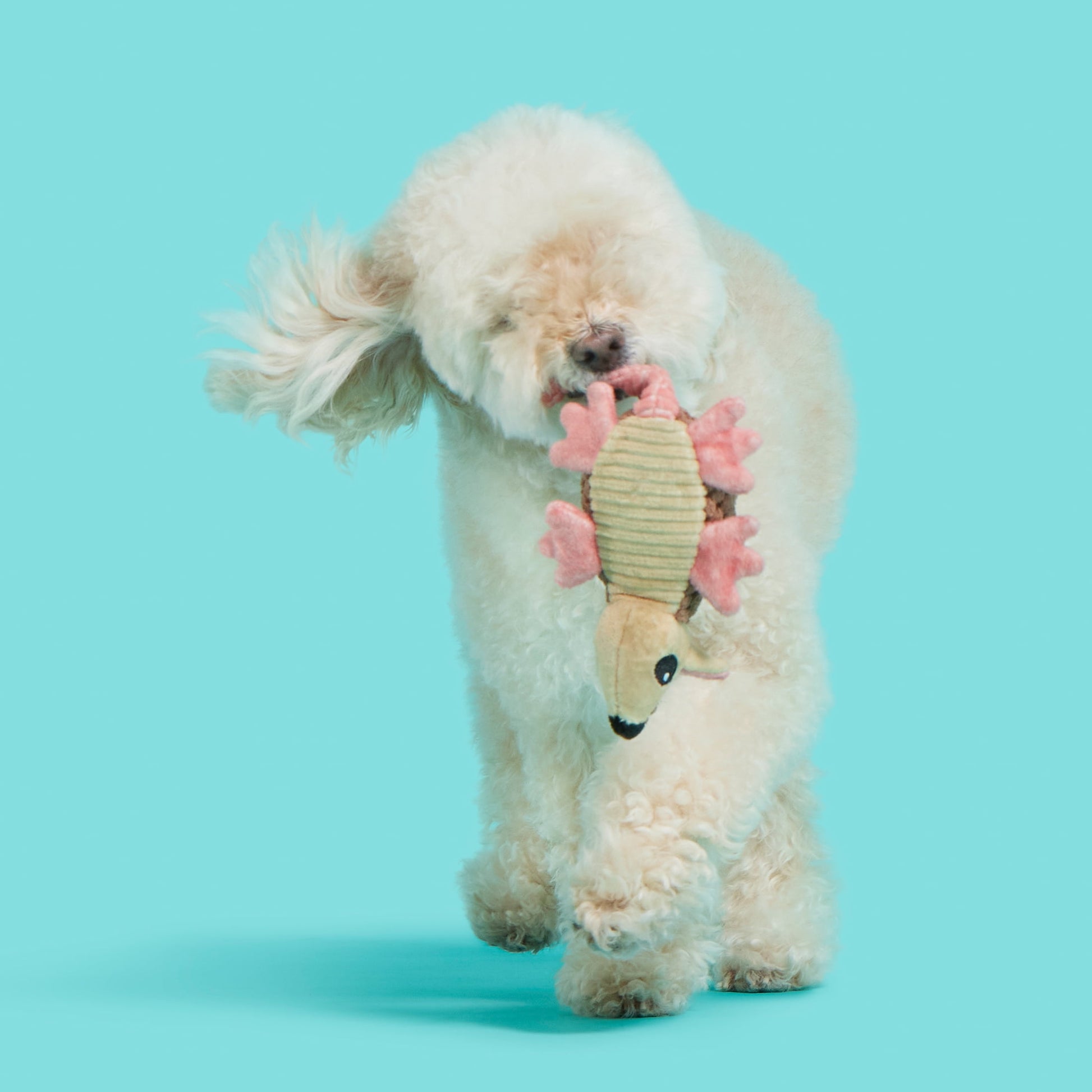 Armie Dillo Dog Toy - Features Crazy Crinkle, Extra Fluff, Xs to Small Dogs