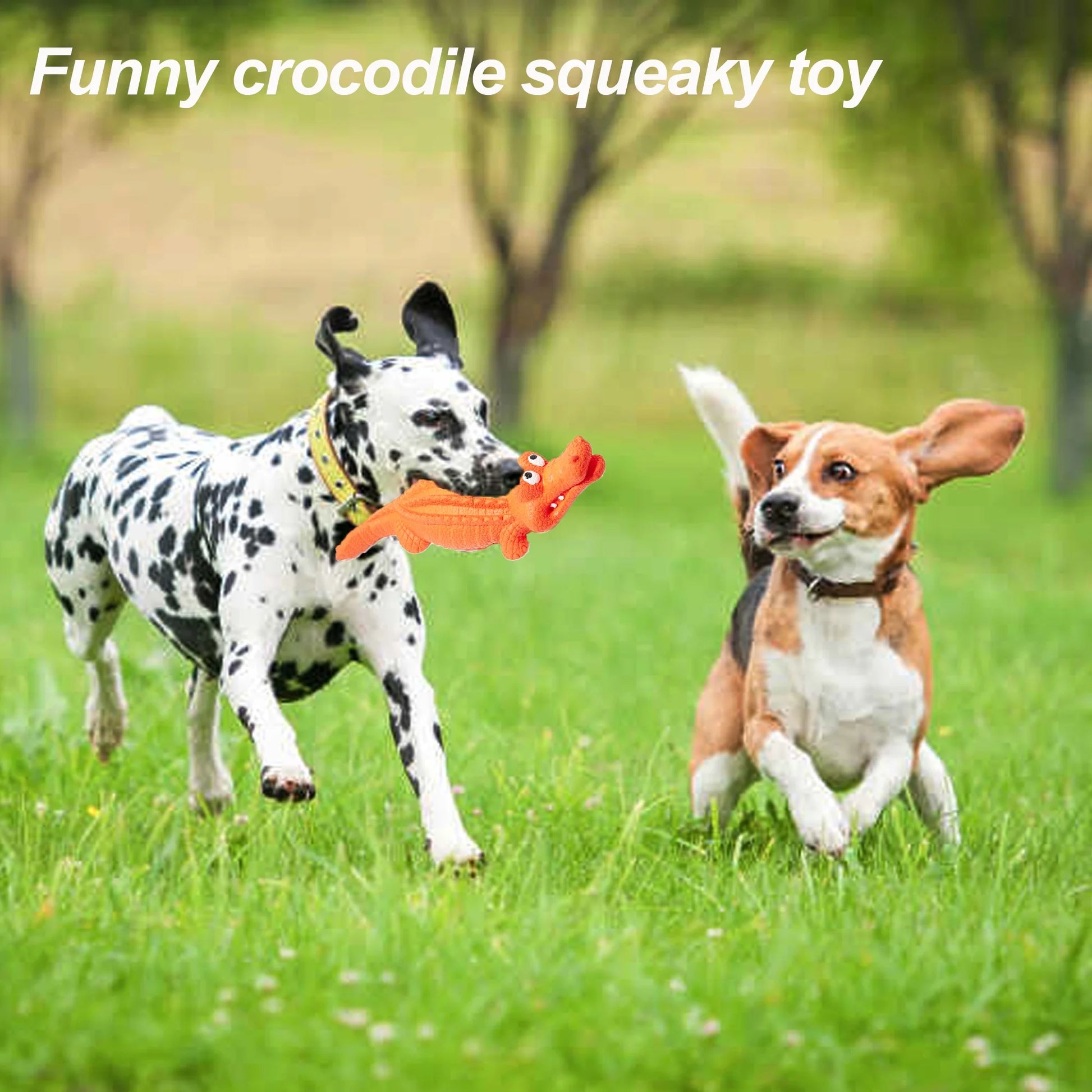 Squeaky Gator for Aggressive Chewers