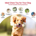 Tough Dog Bone Chew Toys for Medium/ Large Dogs