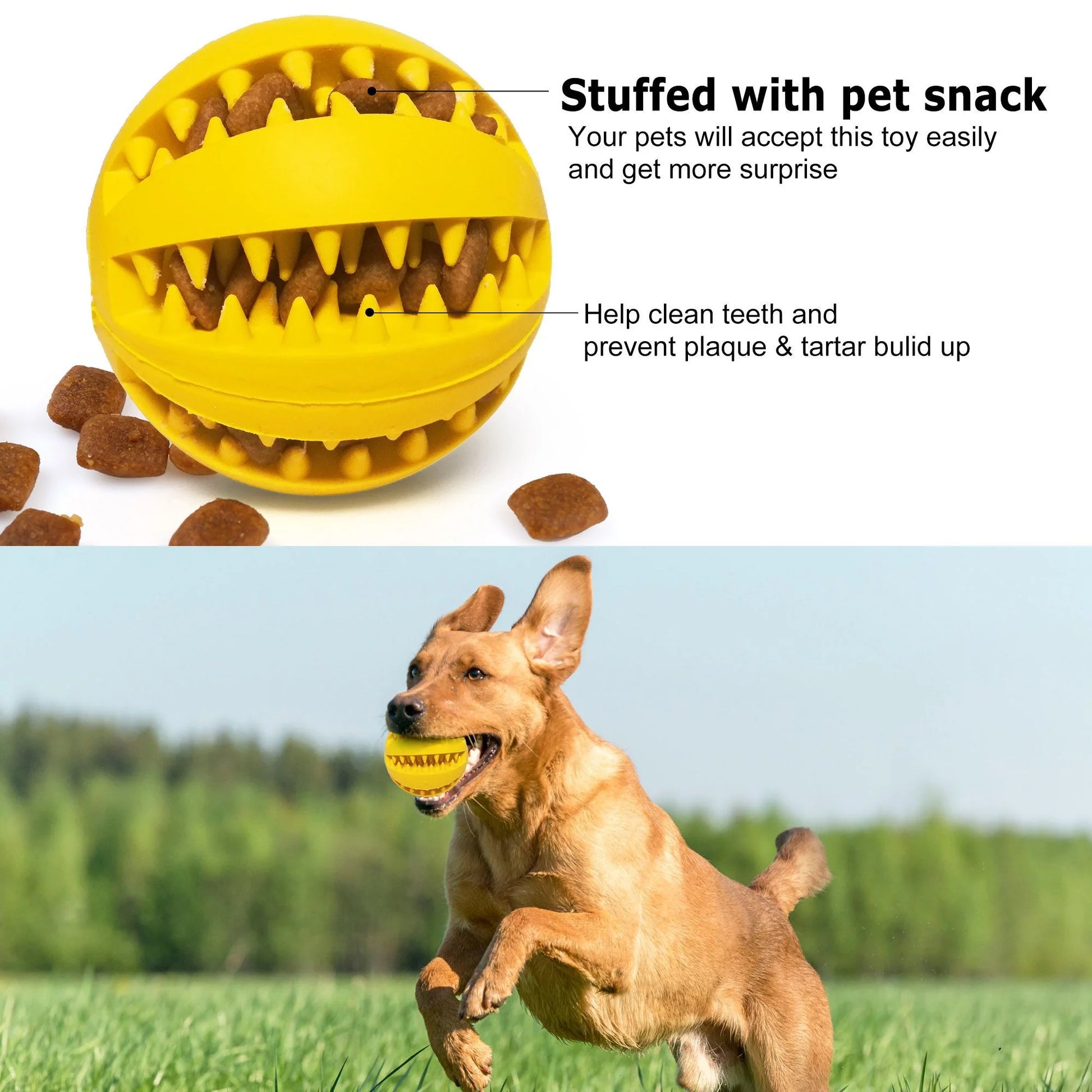 4 Pack Treat Ball, Large Dog