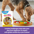 Brightkins Pizza Party! Treat Puzzle, 1 Piece, Interactive Dog Toys, Dog Puzzle Stimulating, Dog Toys, Brain Games for Dogs