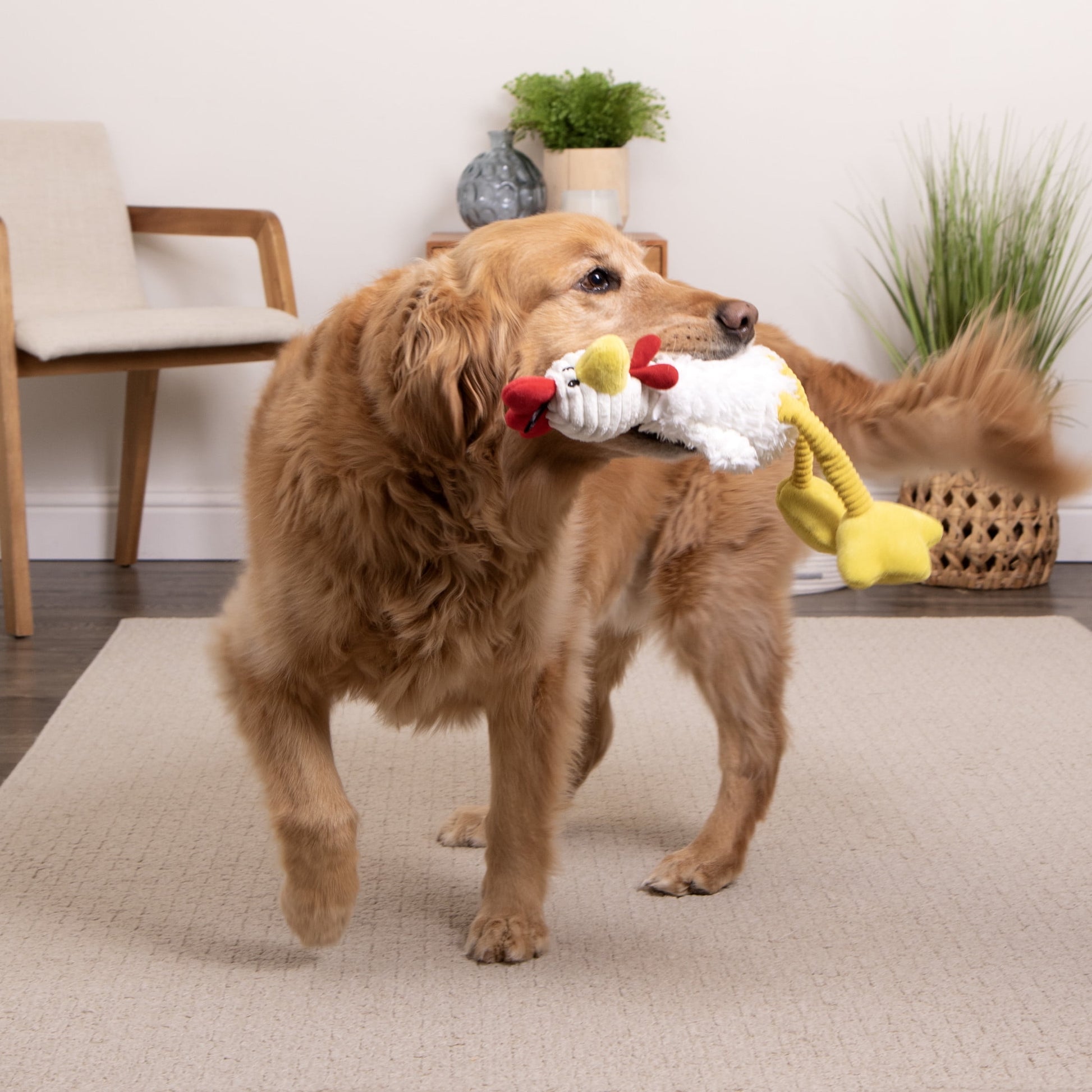 Tall Toes Plush Squeaky Chicken Tough Toy