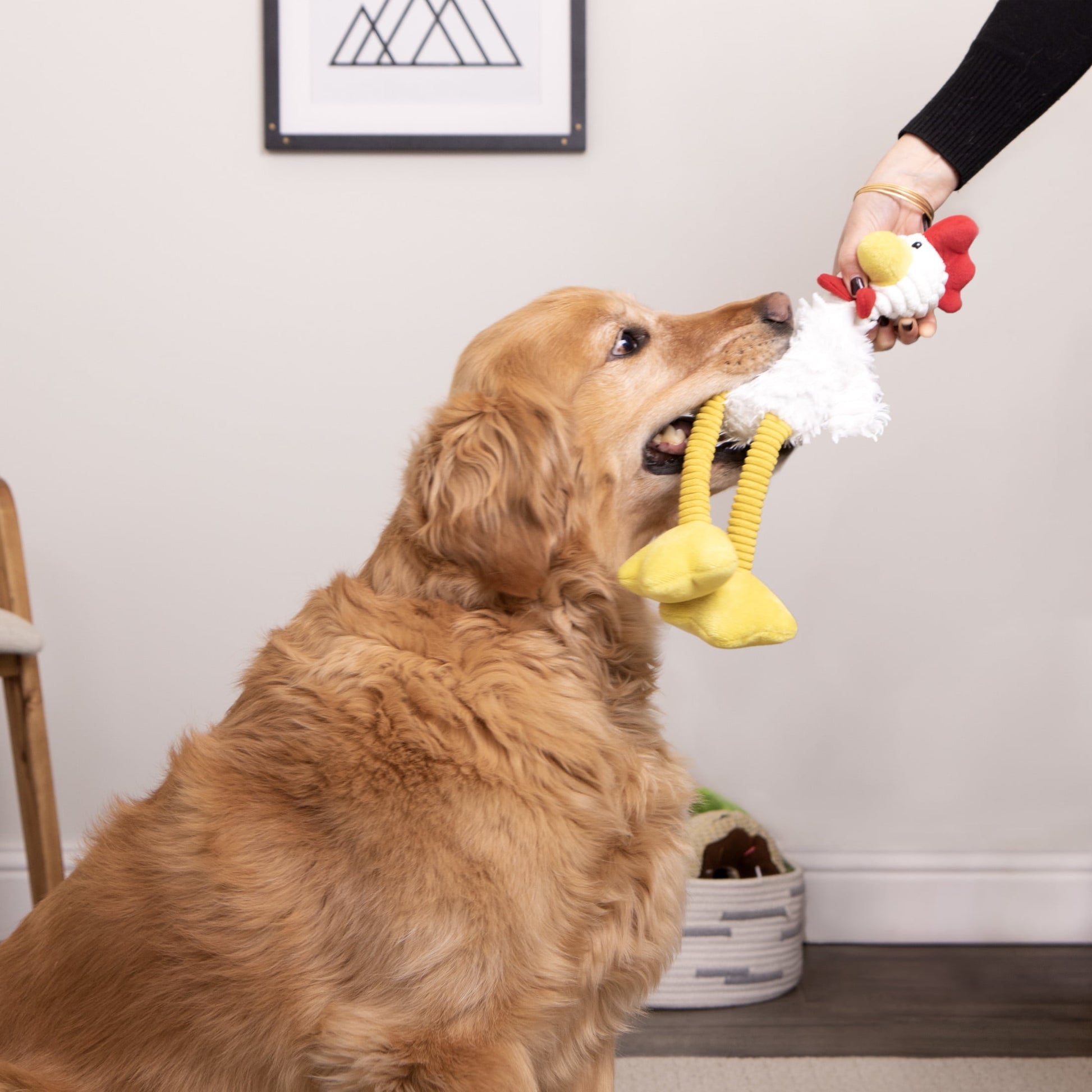 Tall Toes Plush Squeaky Chicken Tough Toy