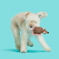 Armie Dillo Dog Toy - Features Crazy Crinkle, Extra Fluff, Xs to Small Dogs