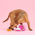 Baker'S Dozen Donuts Dog Toy - Features Multi-Part 4 in 1 Toy, Xs to Small Dogs